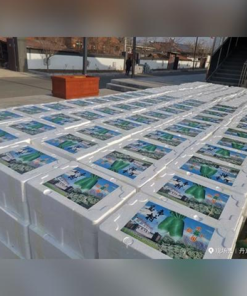 九连城蔬菜最新报价表揭秘，新鲜价格一览，不容错过！