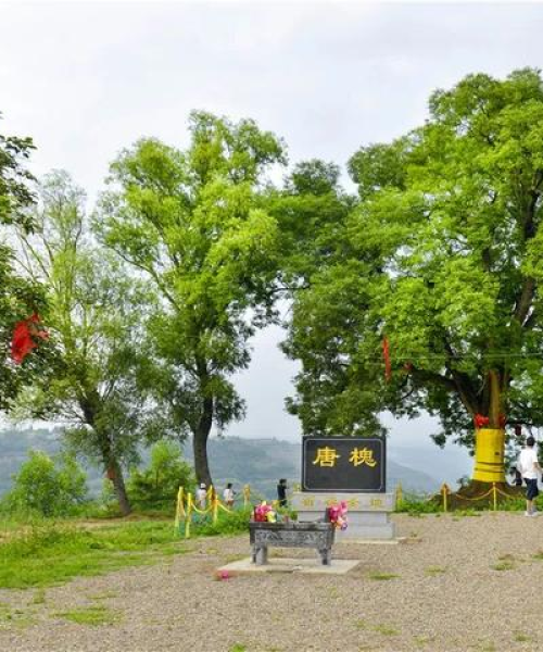 诗意乡村旅游，自然与文化交融的完美攻略