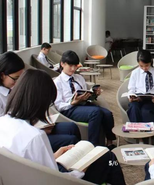 全球顶级学府规模排名探索，世界名校壮丽画卷揭晓