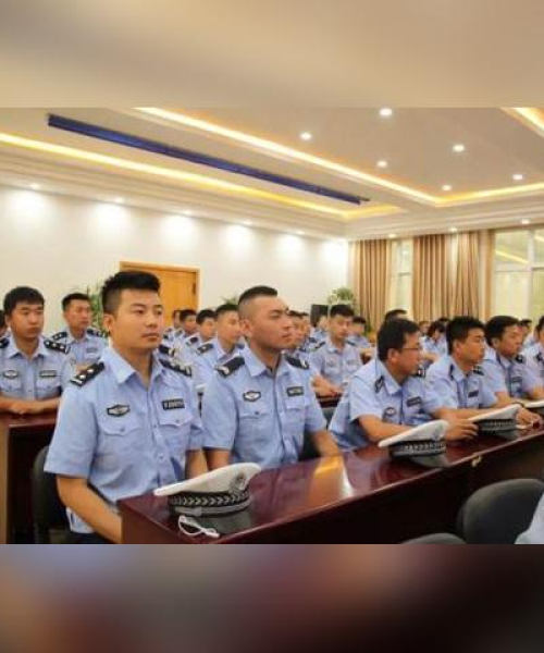延安交警最新动态揭秘，今日头条新闻解读报告