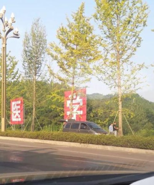 南充大学城最新动态，今日头条新闻综述