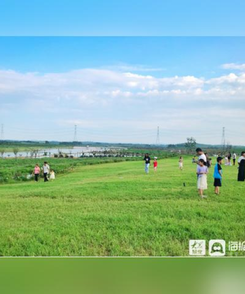 荒山改良探索，百度时代的绿色革命之路