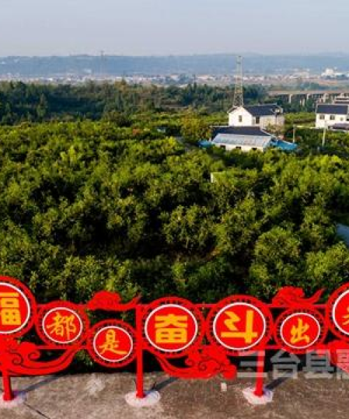 三台县最新今日新闻事件概览