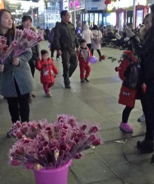 卖花姑娘的旋律与情感之美，音乐伴奏深度解析