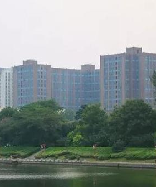丰县东关最新动态，城市新动向与时代脉搏的交汇点