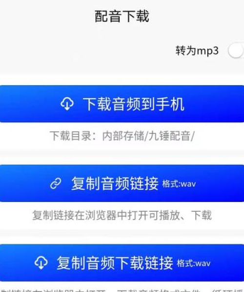 励志文案与配音的艺术魅力探索，励志语录背后的声音力量