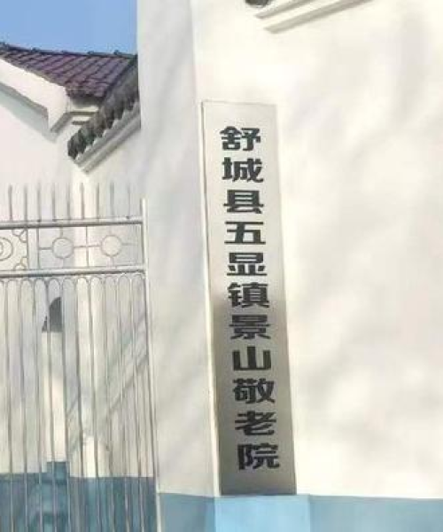舒城全面应对疫情，守护家园安全无懈可击！