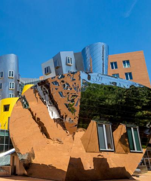 全球顶尖大学排名大揭秘，学术巅峰之旅探秘
