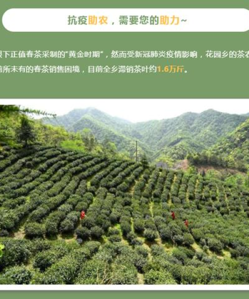 池州媒体公司影响力排名大揭秘！深度解析其行业地位与影响力