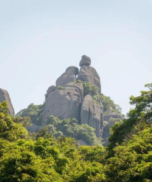 福鼎公交车事故最新进展，实时更新，紧急关注！