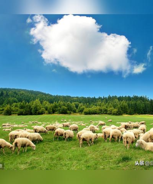 天津自驾游沽源路线攻略揭秘，最新攻略，畅游美景不容错过！