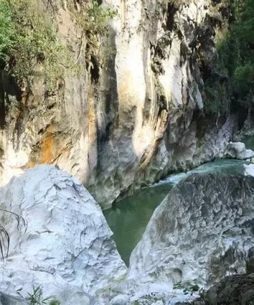 揭秘云南老山地区的最新头条新闻
