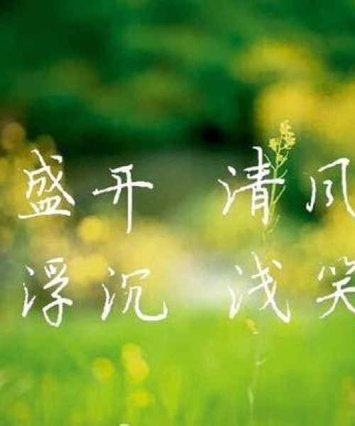 安然生活直播间揭秘，现代生活的舒适与宁静之道