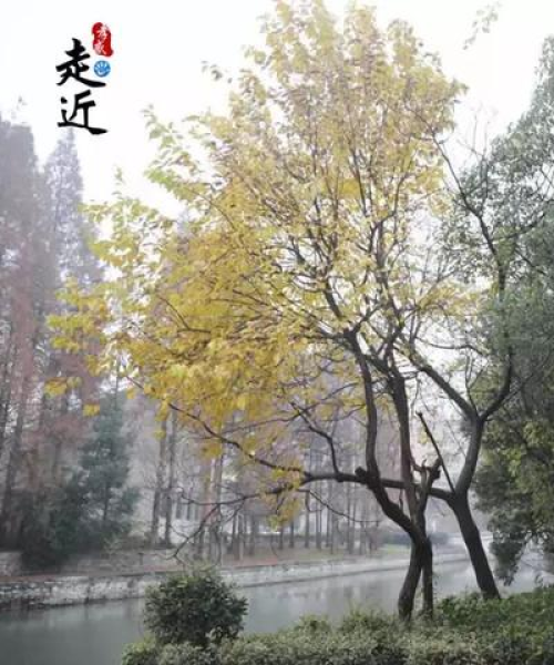 湖北摸鱼主播生态大揭秘，最新名单公布，探讨摸鱼现象盛行原因