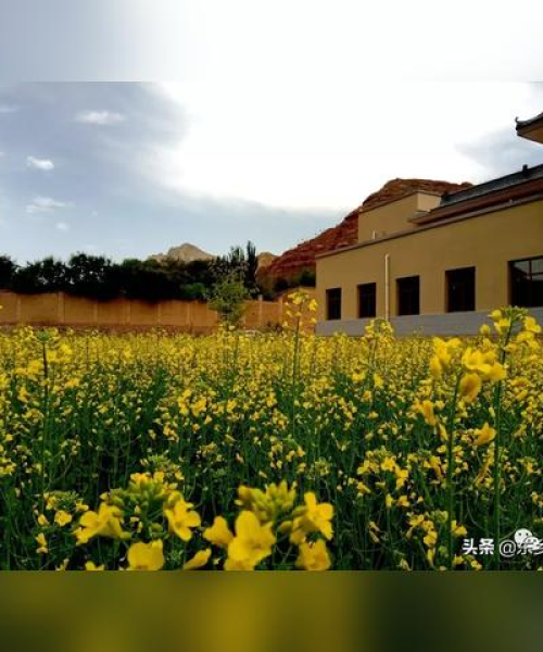 临夏六月旅行攻略，探索最佳体验之旅
