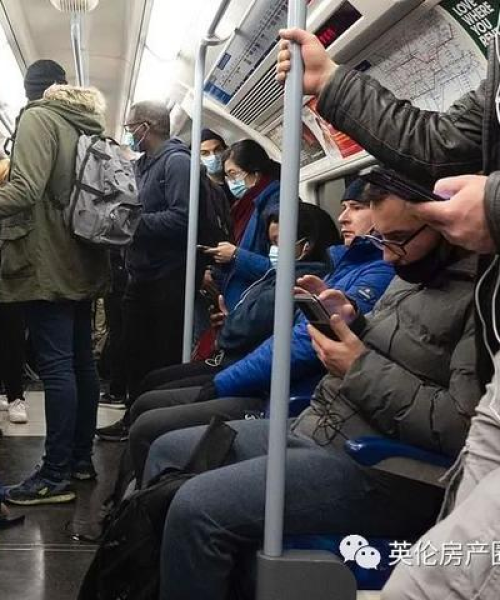 疫情囤货实录，热门视频下载与独家分享