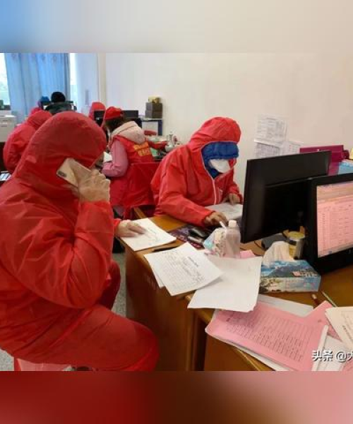 新洲疫情最新动态分析，今日最新数据揭秘