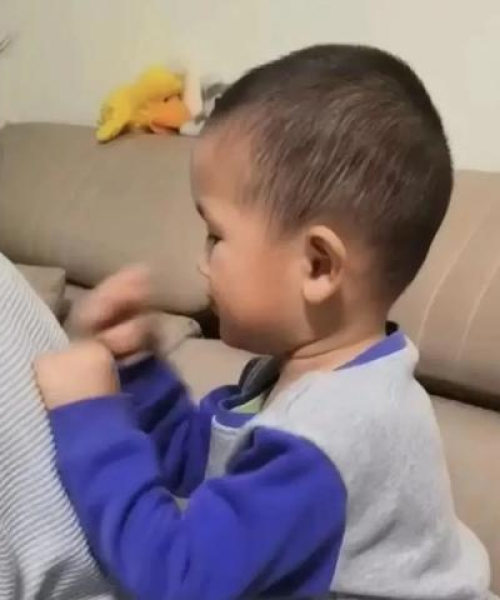 感恩励志，正能量照亮人生旅途