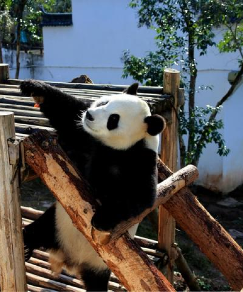 阳光乐园最新动态，今日营业状态及最新消息速览