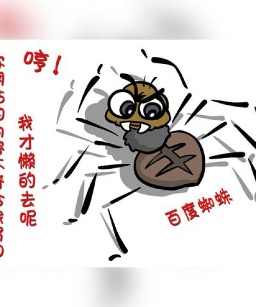 揭秘百度域名服务升级，一站式域名服务的新选择