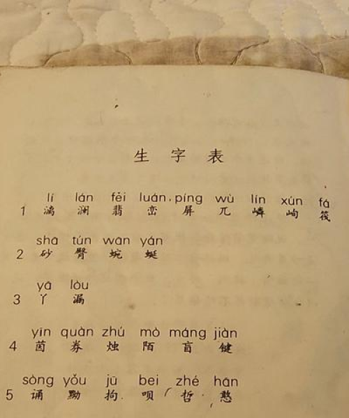 浙江十大优秀小学排名揭晓，教育质量迈向新高度