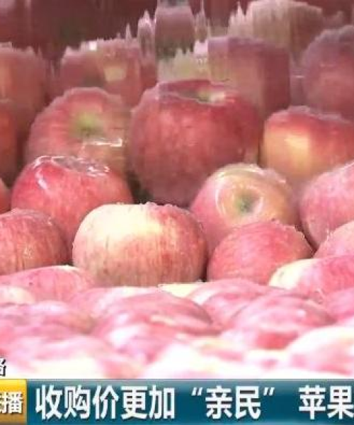 郑商所最新动态，市场走势、交易分析与影响因素全解析