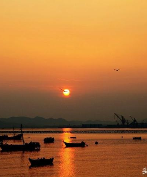 今日海景视频大放异彩，绝美海岸风光与生活体验全收录