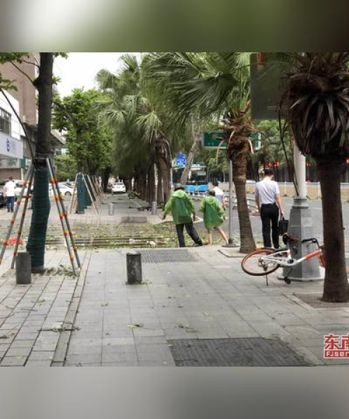 福州最新热点排行图揭秘，城市发展与趋势解读
