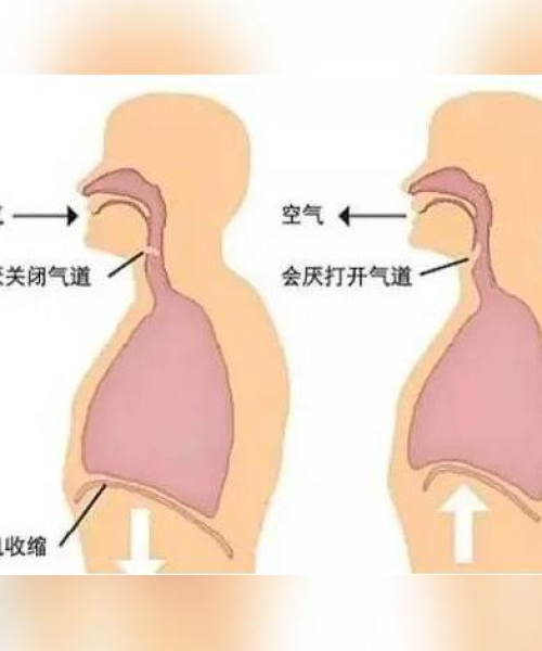 二阳最新视频深度解析与精彩瞬间回顾