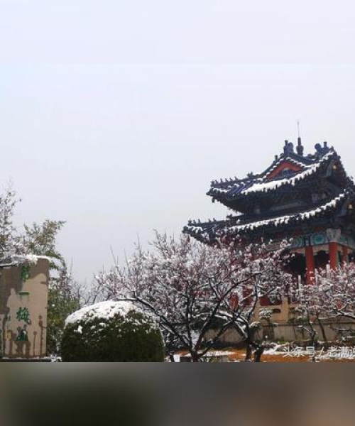 揭秘中国顶尖学府，985工程前十名排名背后的秘密与故事