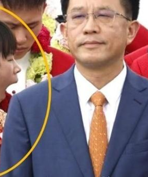 揭秘瓜子背后的故事，百度搜索结果令人惊喜！