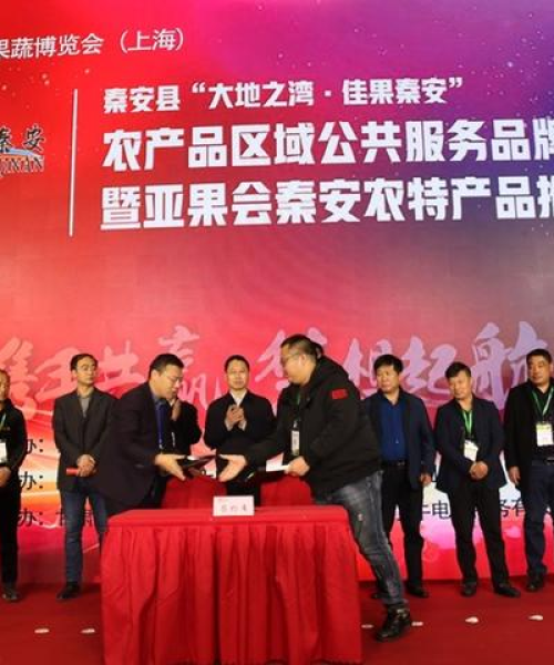 镇江金融期货公司排名大揭秘，行业翘楚榜单出炉！