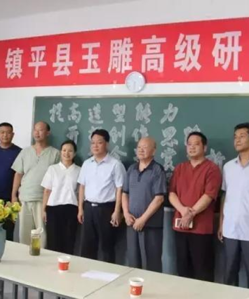 神鹰全方位配养指南，从入门到精通的攻略最新揭秘