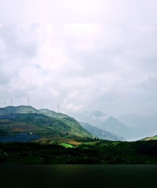 普者黑游攻略，探寻自然美景，尽享悠闲时光