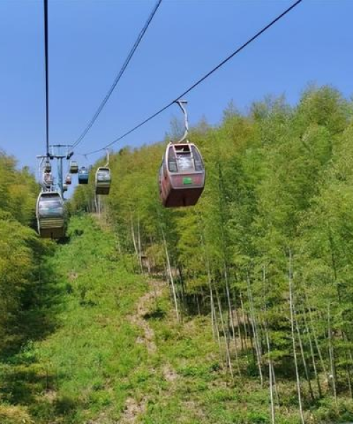 江苏旅游新闻速递，探索江苏美景与文化之旅