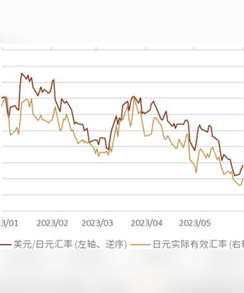 最新元汇率动态，影响及未来走势深度解析