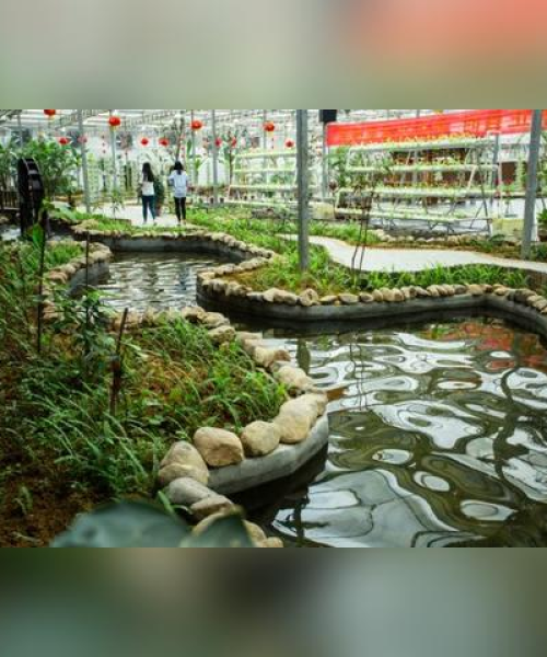 湖南娄底，探索之城的无限魅力与巨大潜力