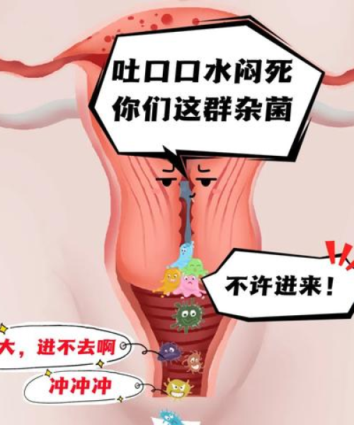 全球各国名称排名揭秘，背后的故事与排名依据探索