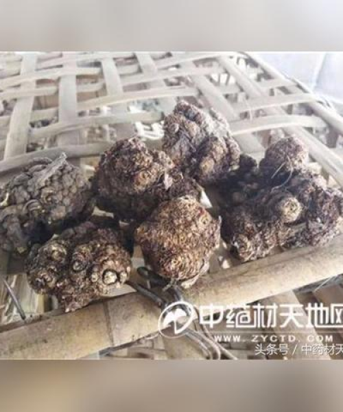 意气风发