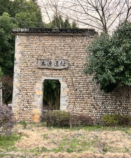 风韵犹存