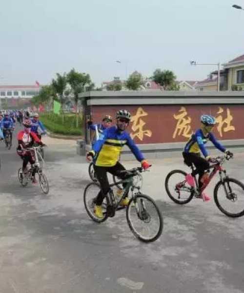 东营牛庄工地揭秘，最新动态与新闻速递