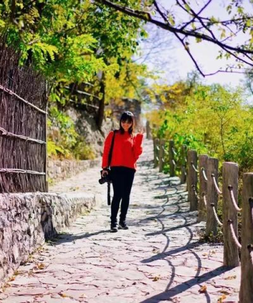 「乡村自驾之旅，探寻自然之美的极致体验攻略」