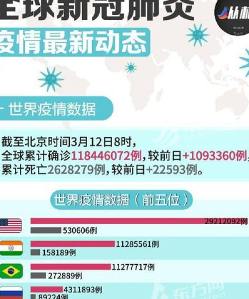全球疫情实时动态与排名深度解析