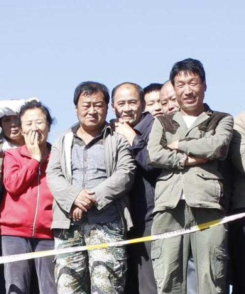 燃烧游泳梦想，励志语录助你畅游人生！