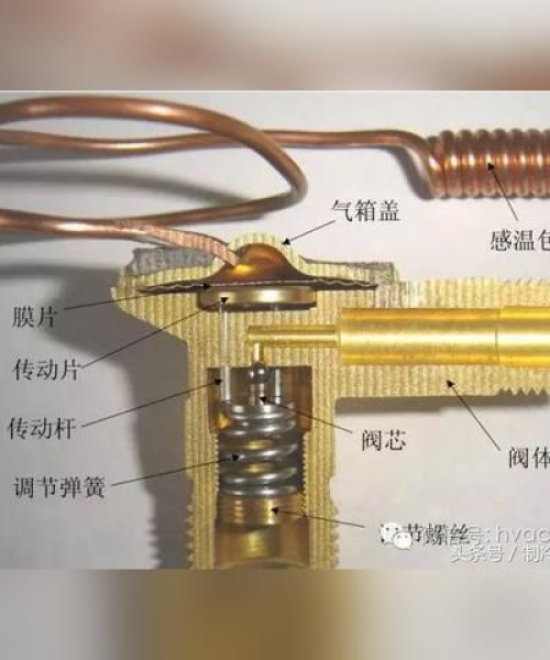 纡尊降贵
