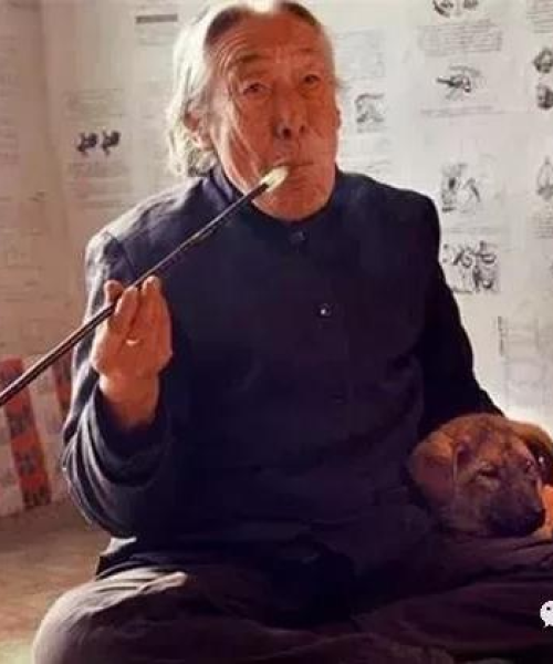 晋城小麦今日行情揭秘，最新报告全面分析