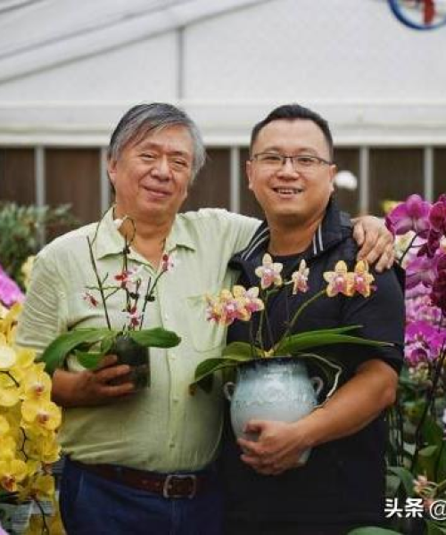 佛山陶冶公司行业地位深度解析，排名背后的实力揭秘