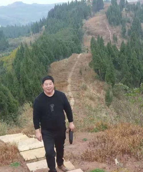 南充过年攻略，传统与现代的完美融合体验