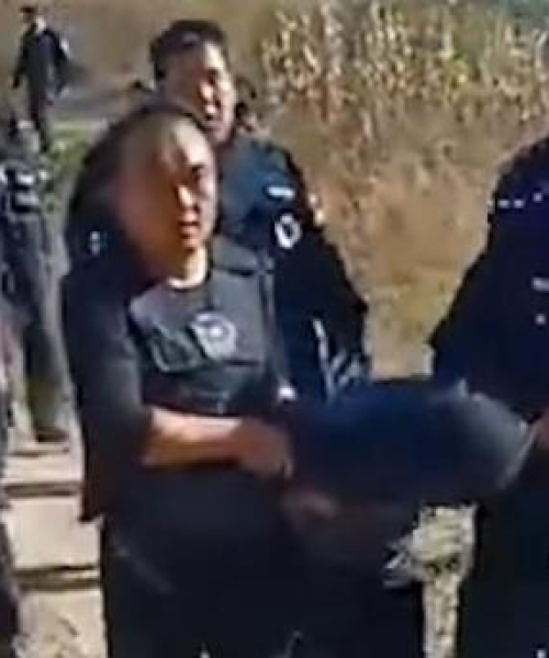 平泉最新抓捕名单查询电话，权威发布引发公众关注热议