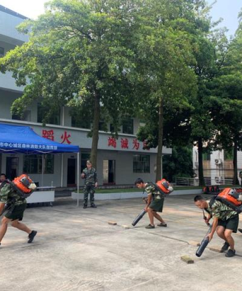 广东水车公司排名榜单揭晓，行业巨头究竟是谁？揭秘真相！